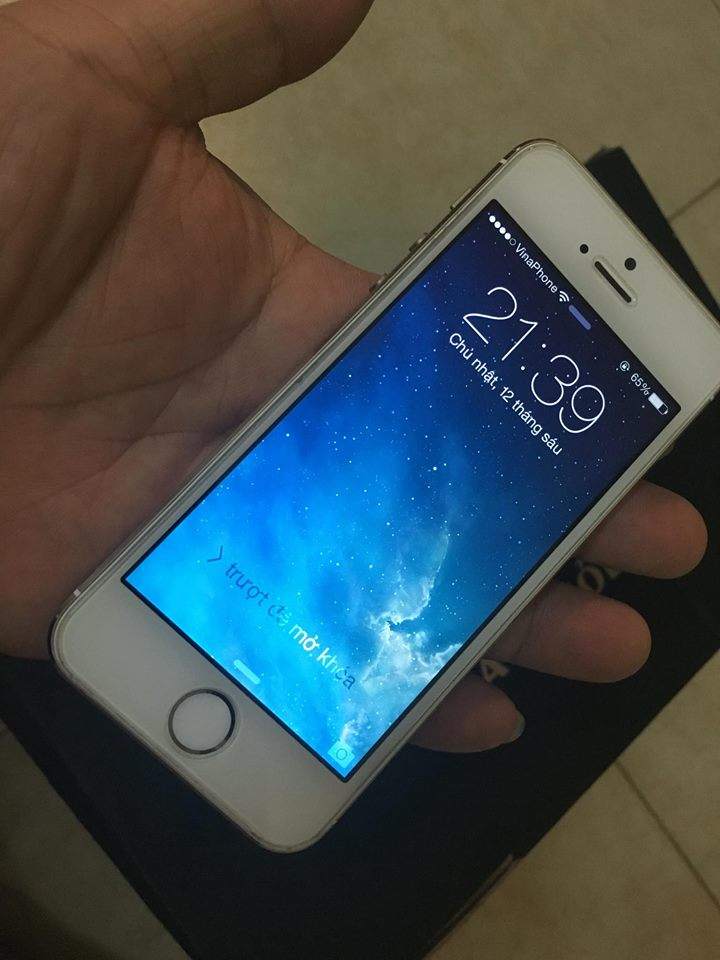 13444567_831503776987153_1661972007_n.jpg