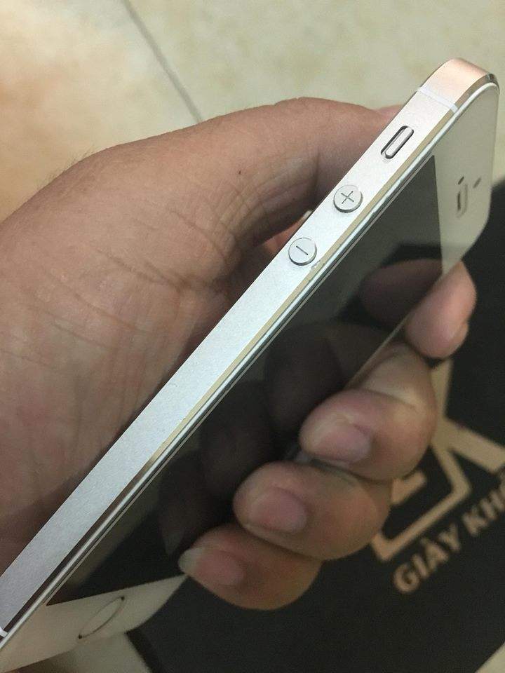 13453726_831503826987148_1960086965_n.jpg