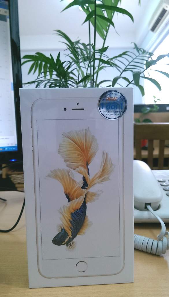IMAG2819.jpg