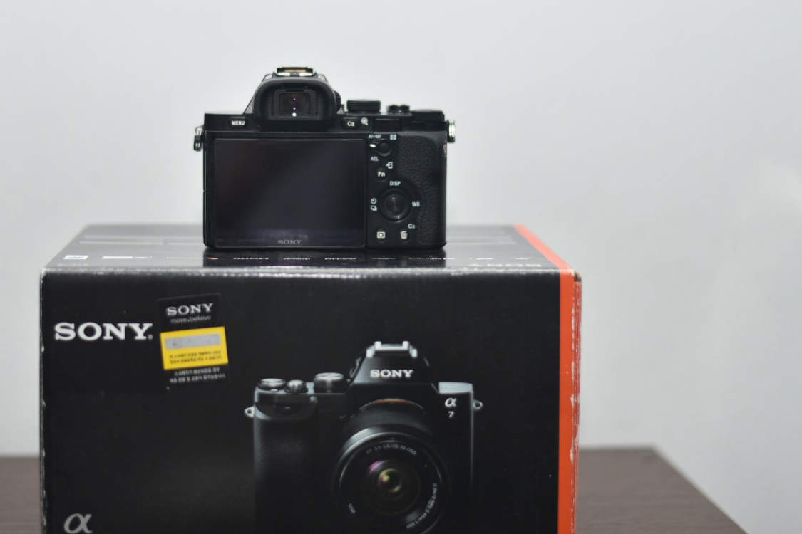 Photo 6-19-16, 10 00 08 PM.jpg