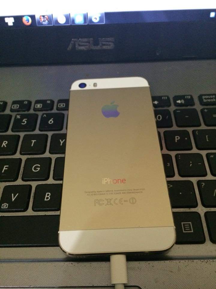 5s gold 3900 3.jpg