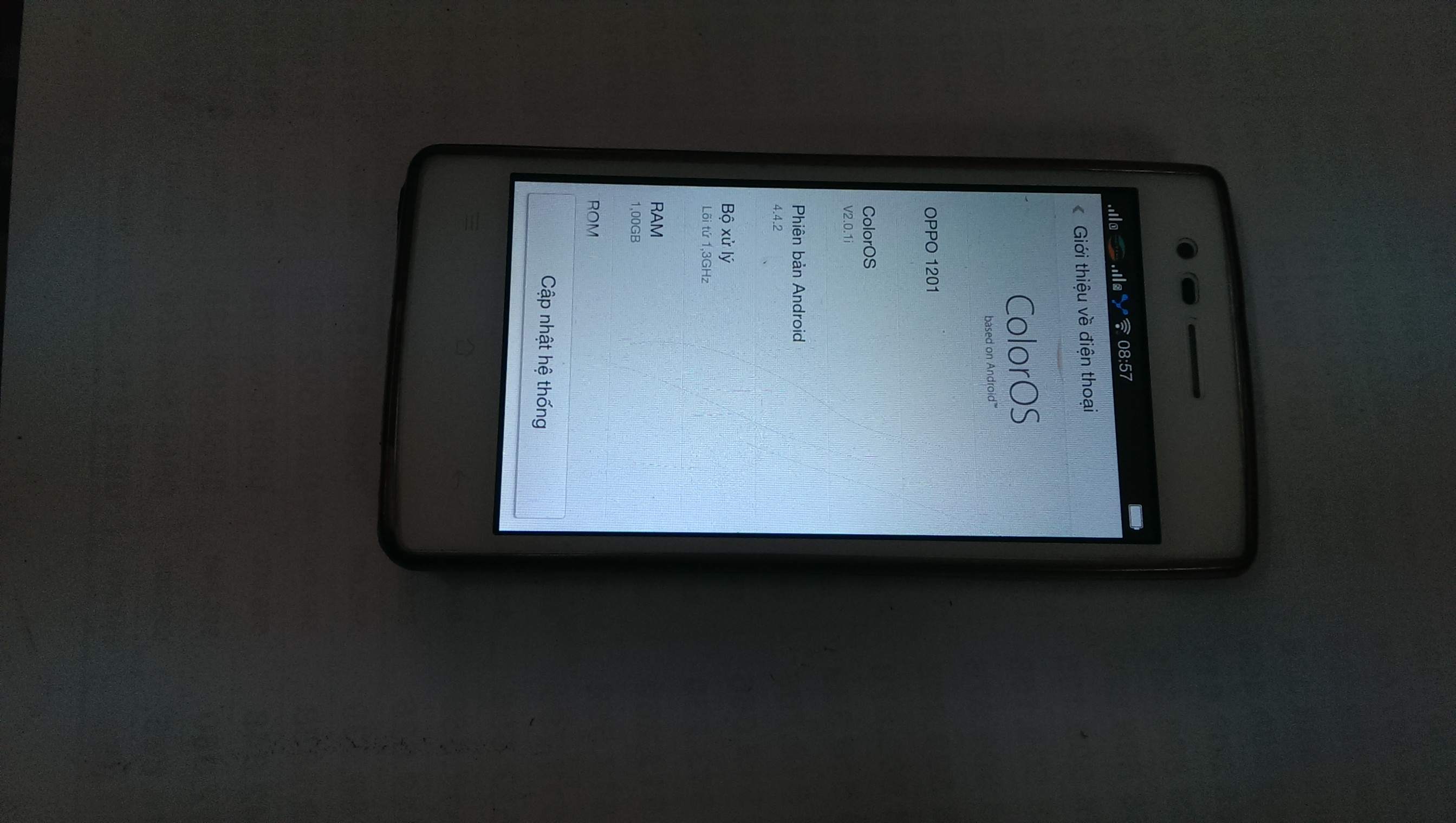 IMAG2808.jpg