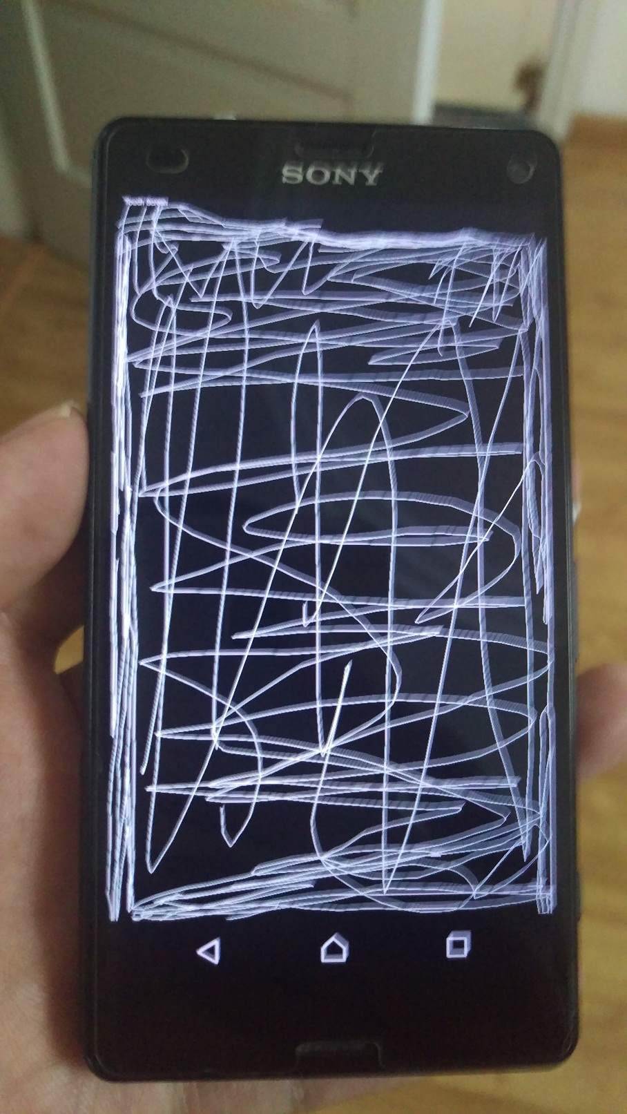 IMAG0058.jpg