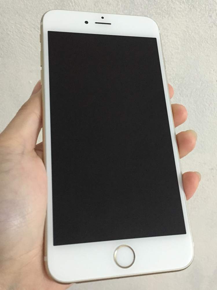 iP6p g 02 (1).JPG