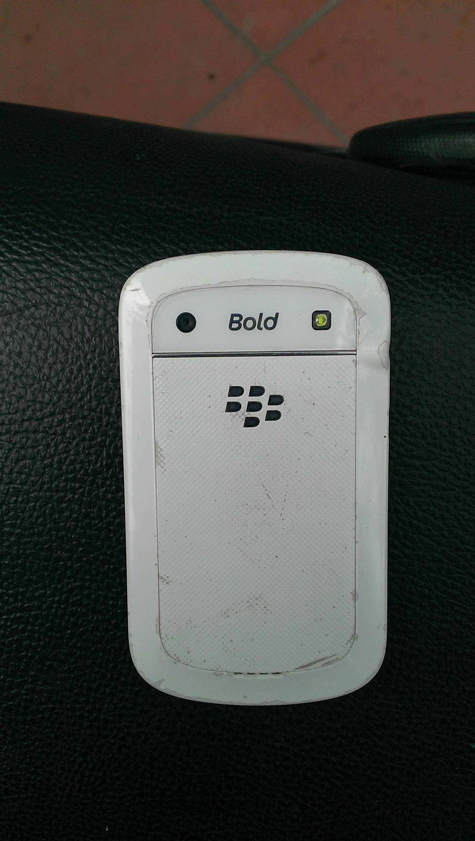 IMAG0098.jpg