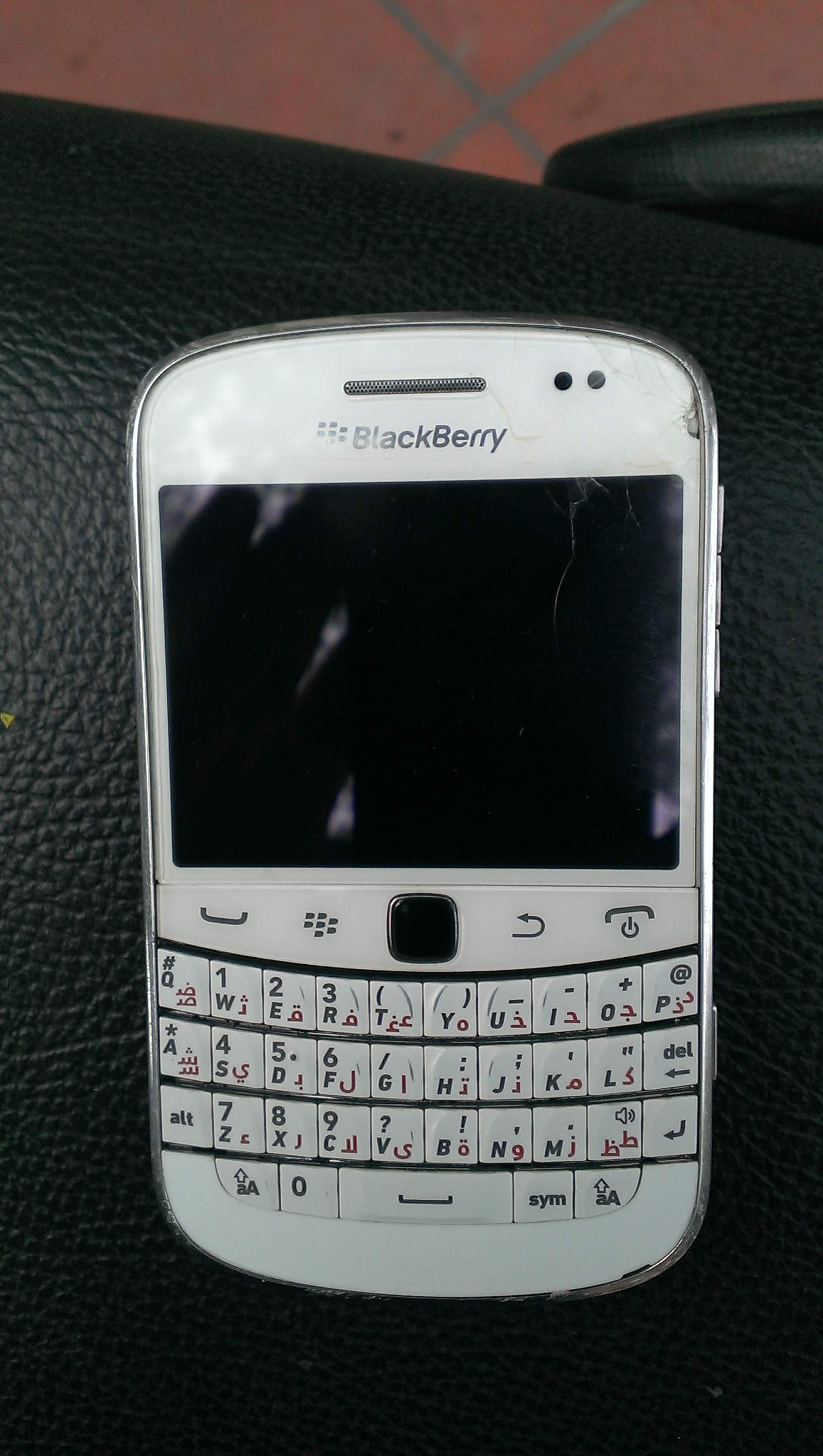 IMAG0097.jpg