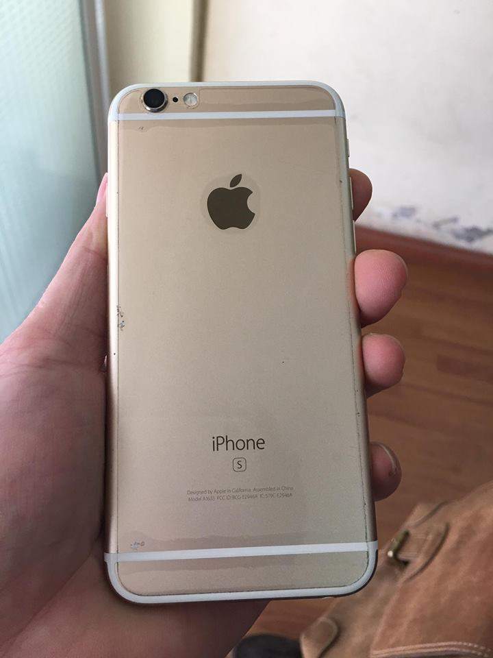13567378_1451832431509306_5307795839141267070_n.jpg