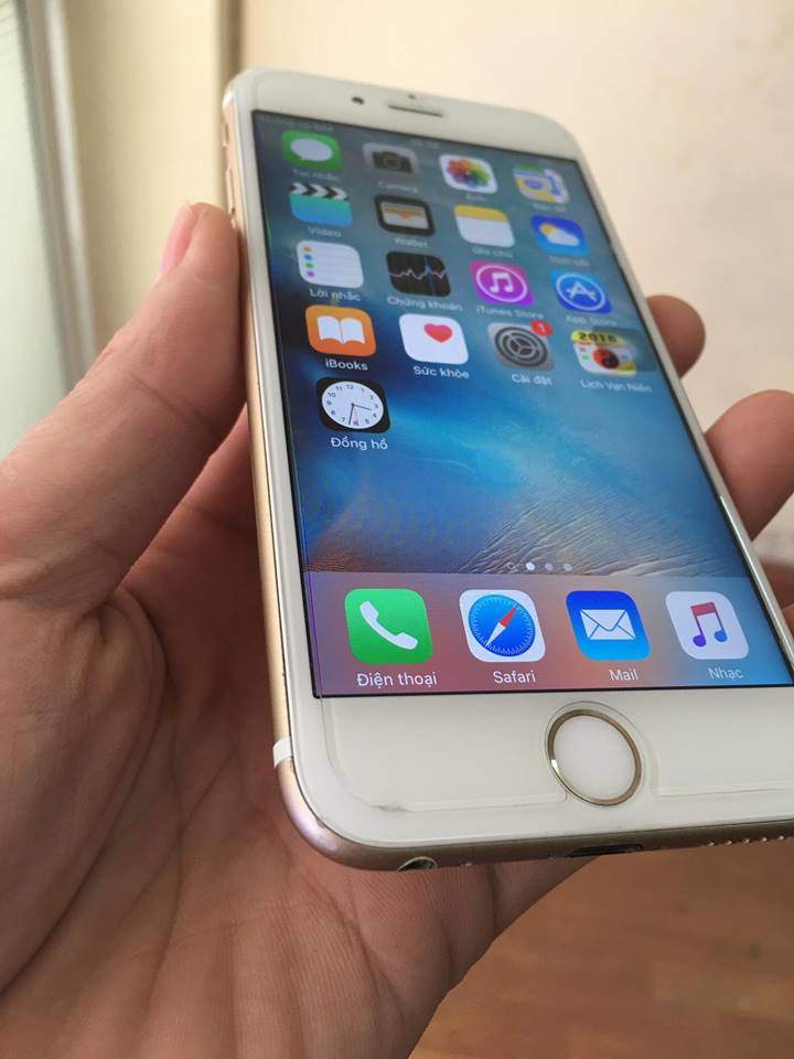 13606963_1451832468175969_669588419055739084_n.jpg