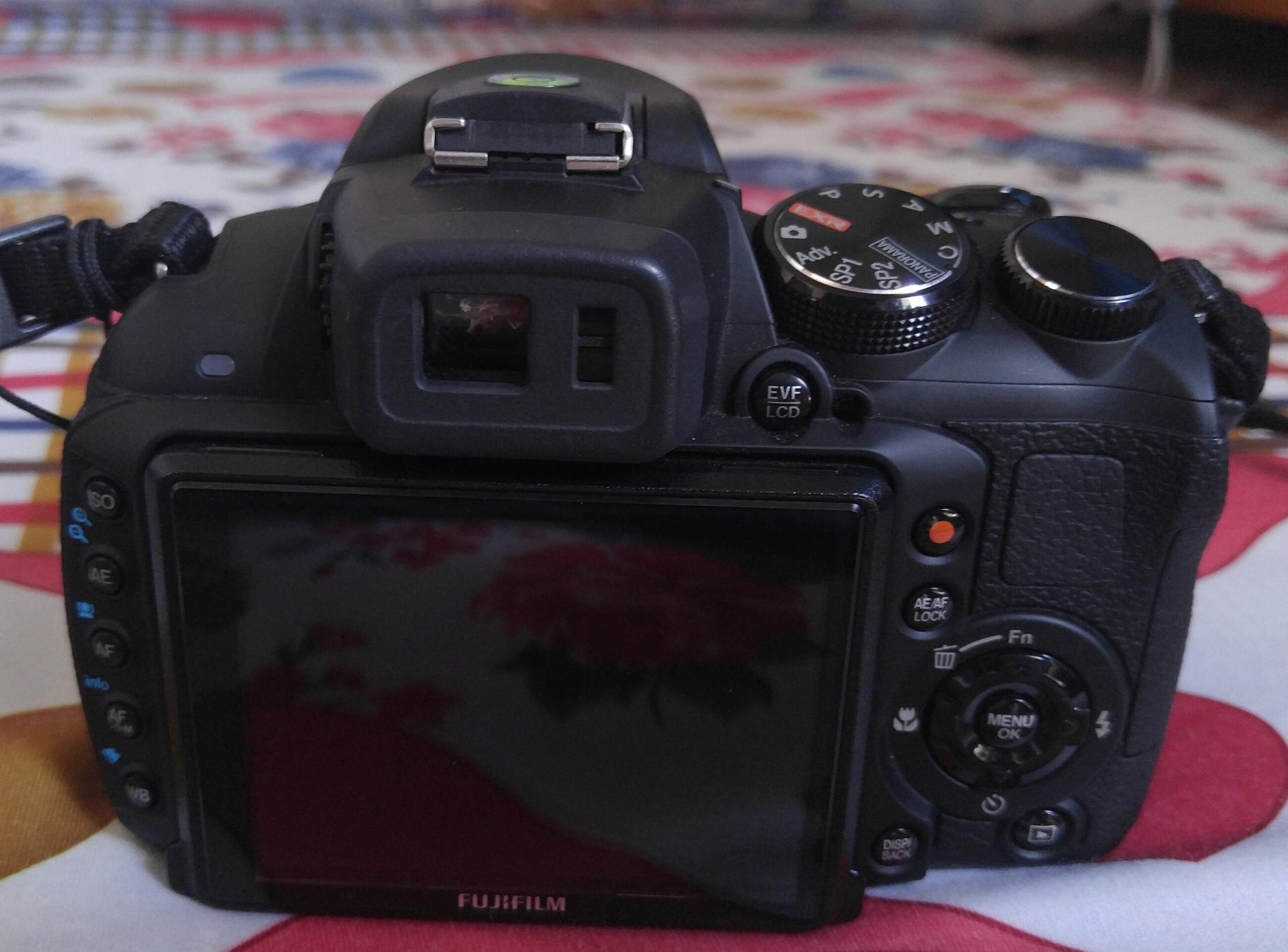20160716_072817-1.jpg