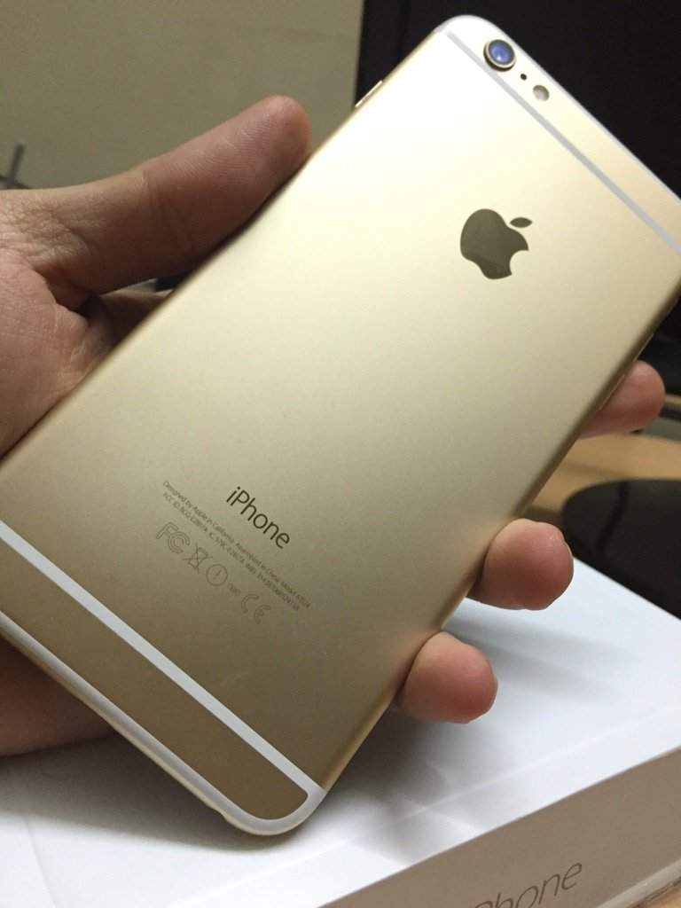 6+ gold2.jpg
