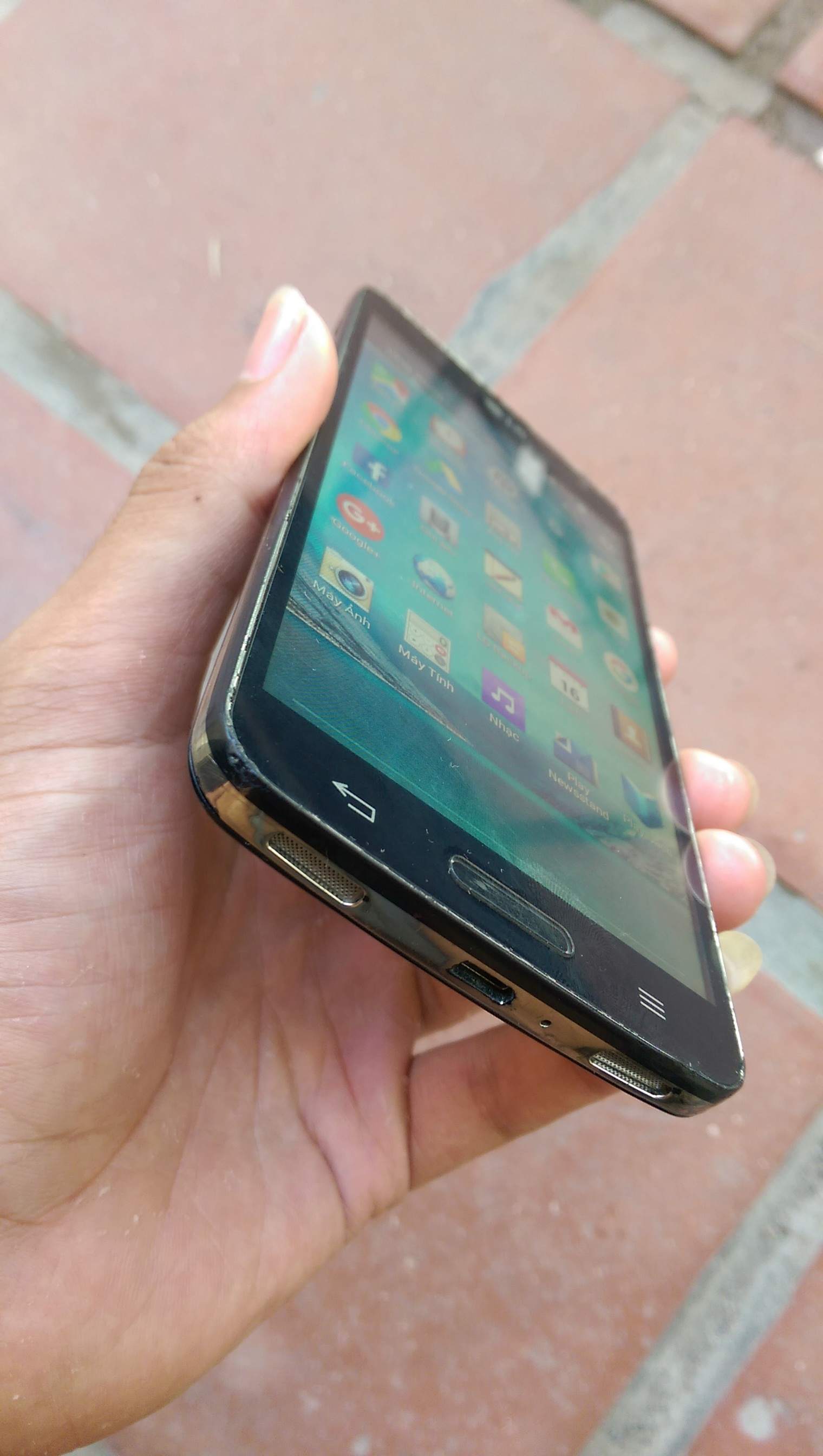 IMAG0272.jpg