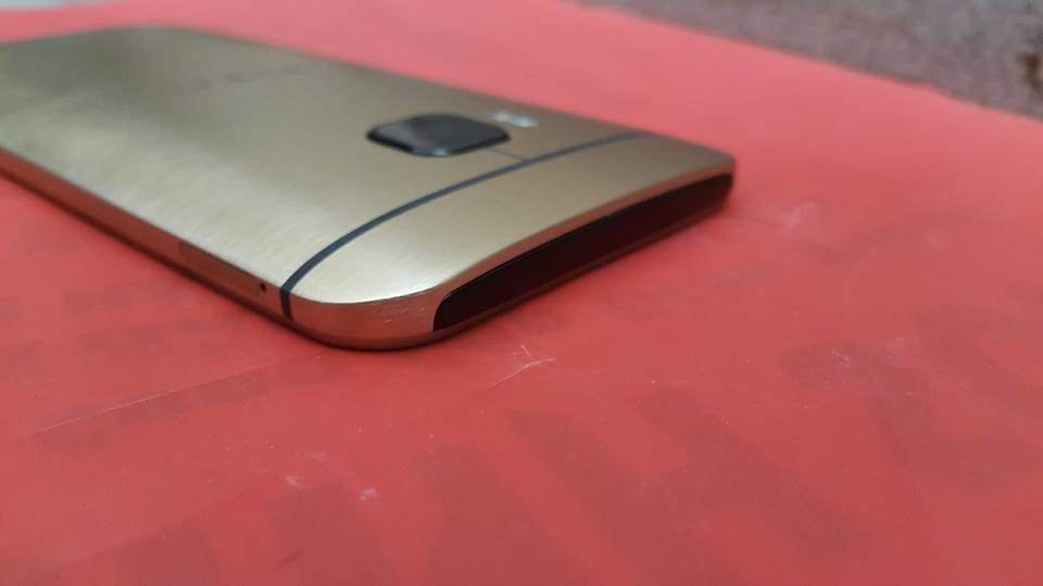 m9 (5).jpg