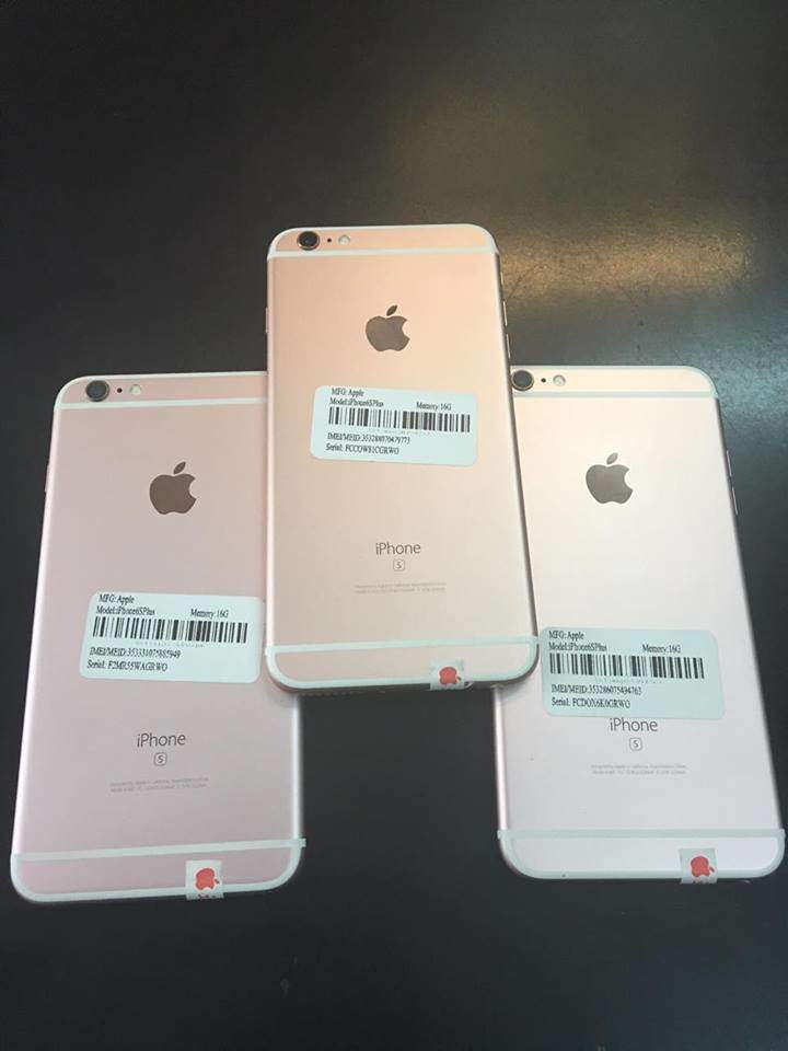 13815093_1770482606539118_1992790647_n.jpg