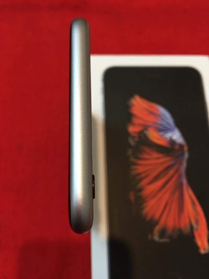 13718567_1247201145291385_8917558673972989165_n.jpg