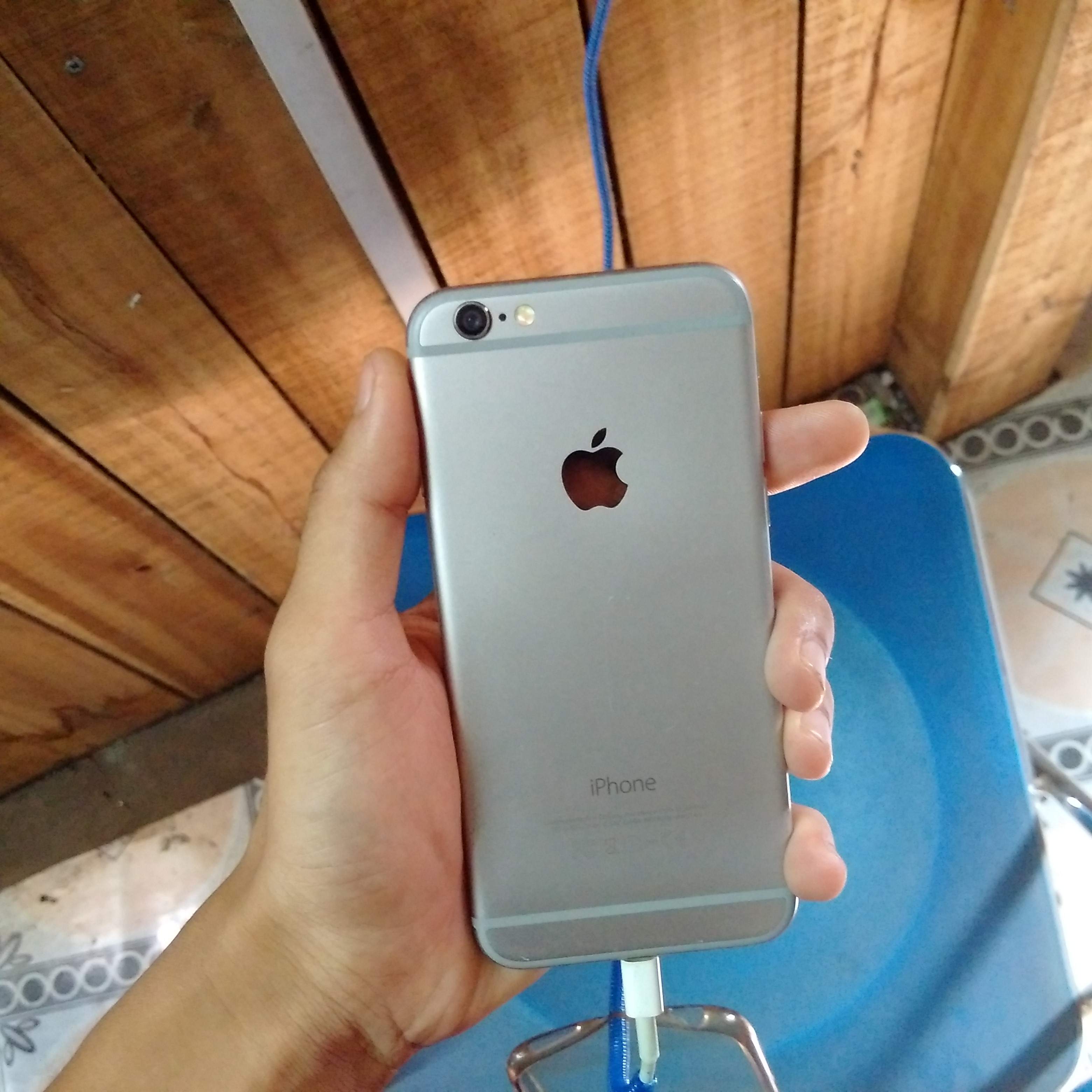 IMG_20160725_080647.jpg