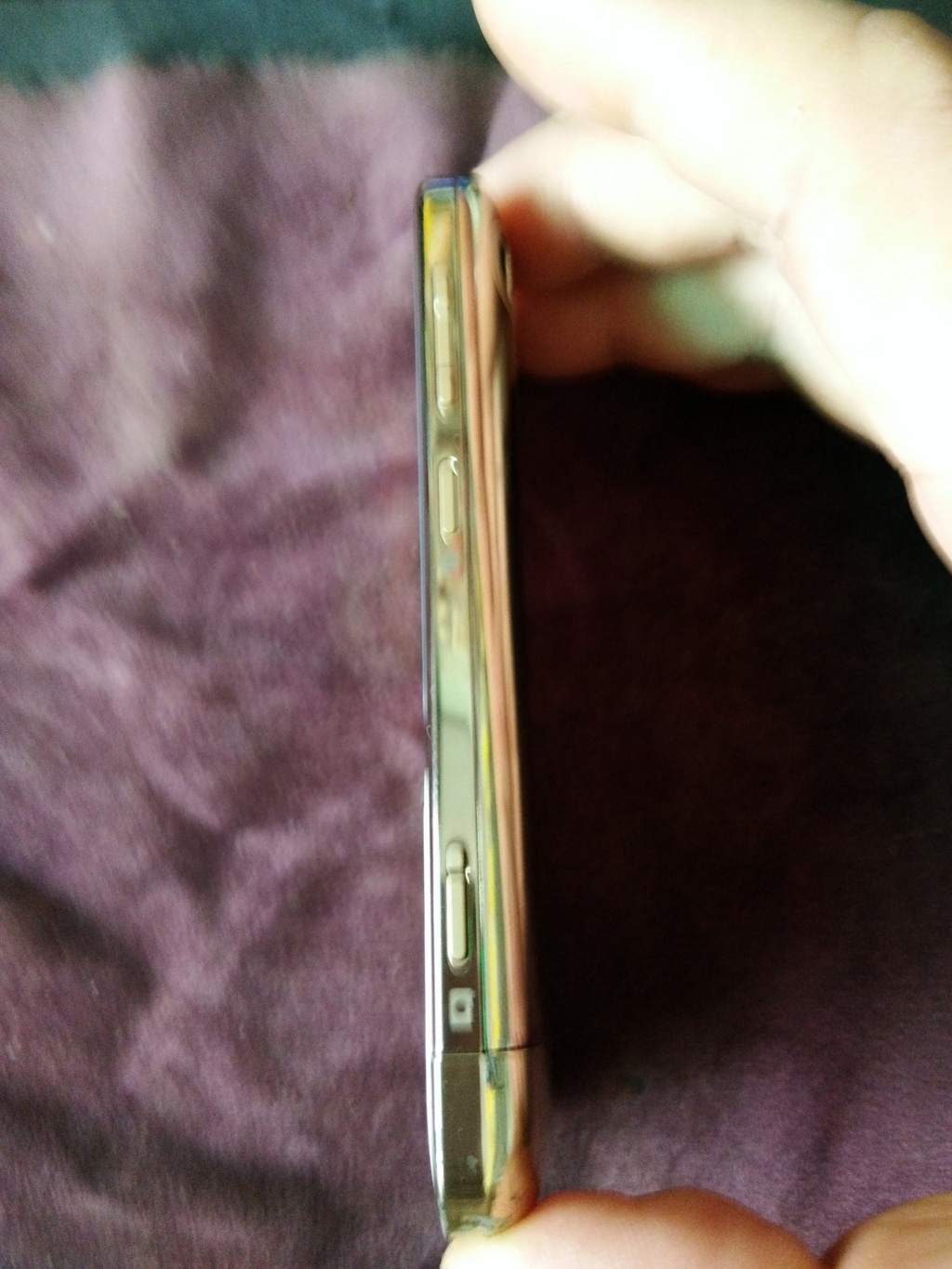 IMG_20160728_115500 (FILEminimizer).jpg