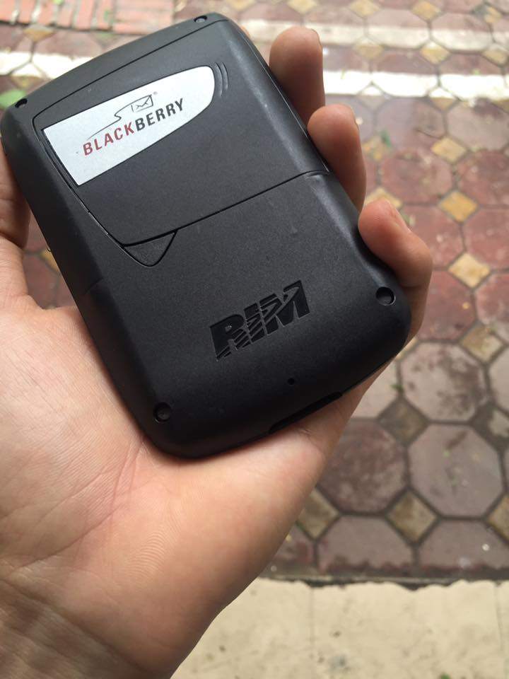 13886952_1782209531998525_6130958332257004015_n.jpg