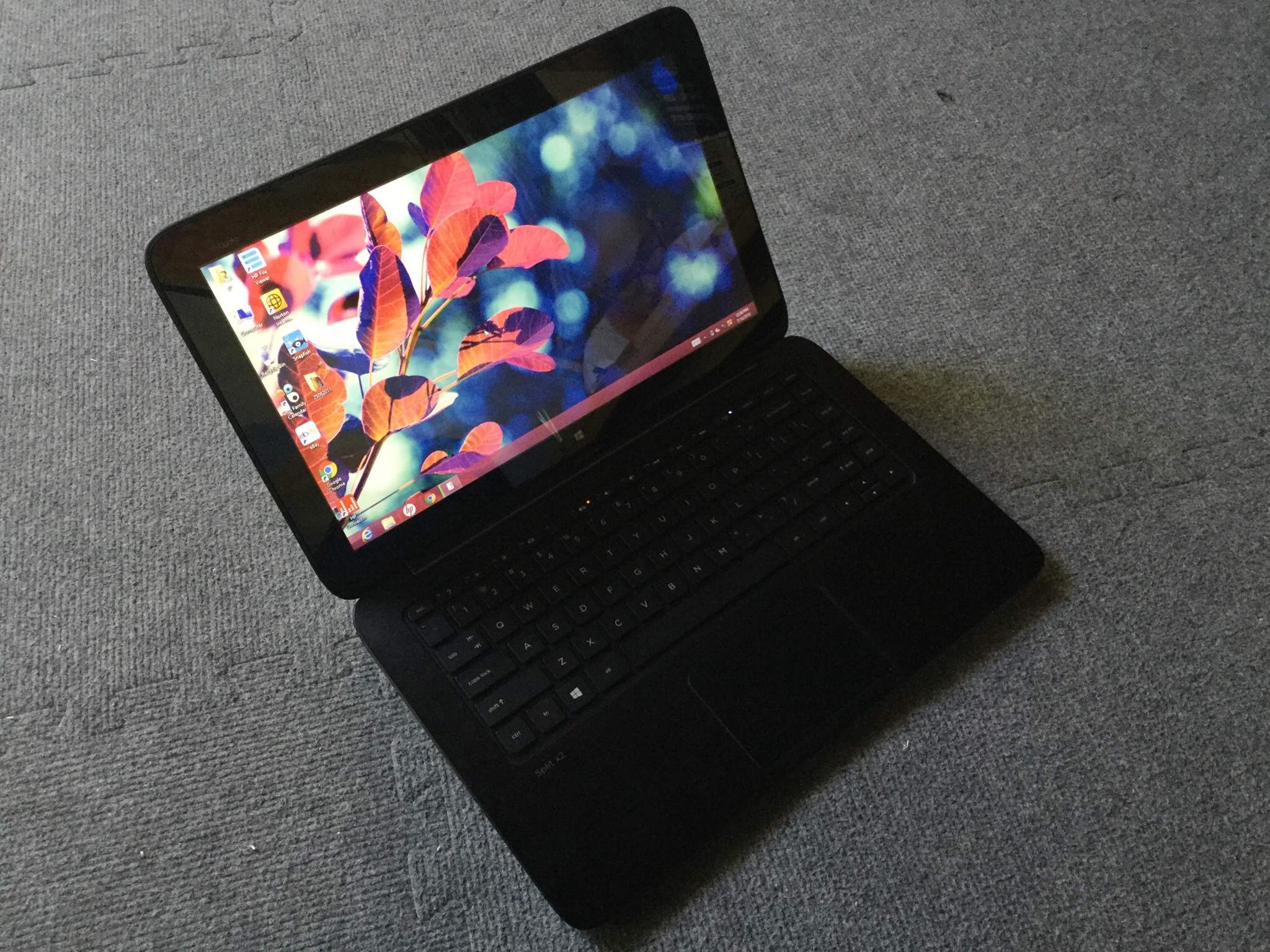 image.jpg