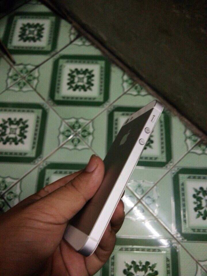 image.jpg