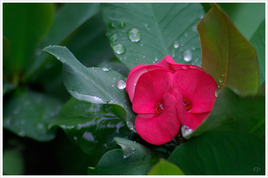 PICT0195.jpg