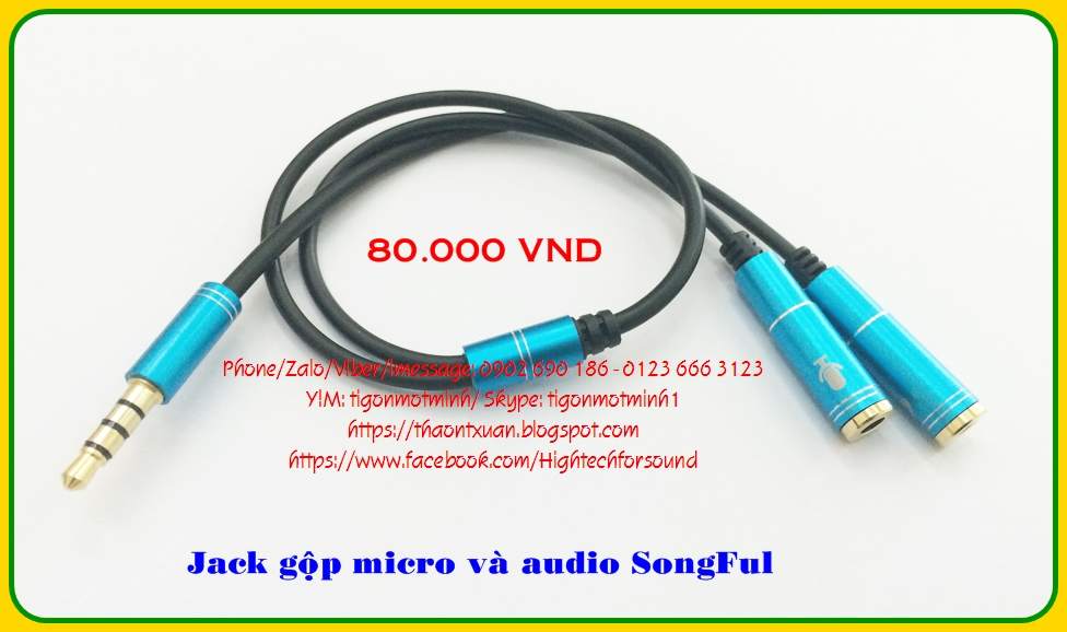 2. Jack gop mic & audio takstar SongFul.JPG