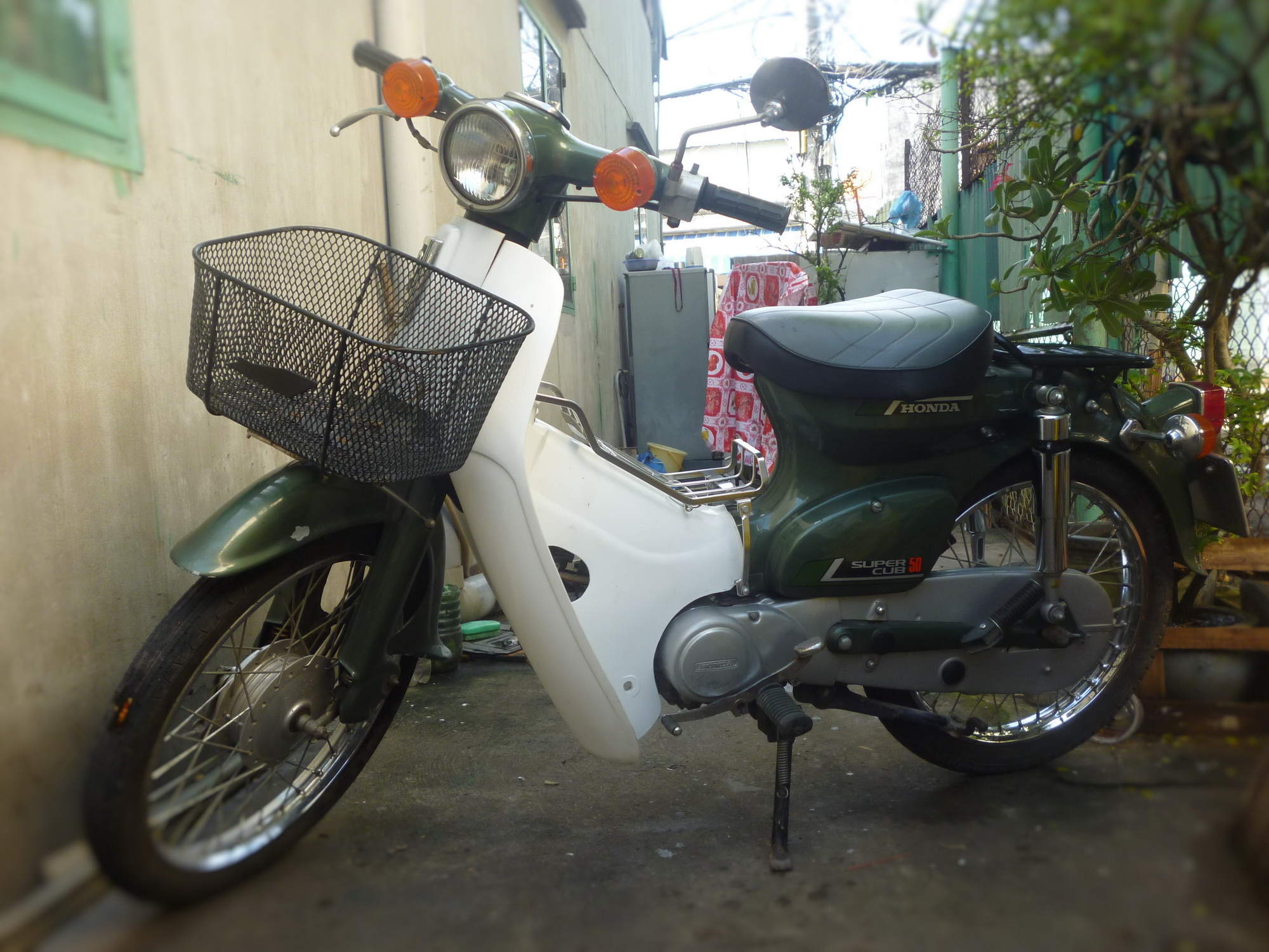 P1180407E.JPG