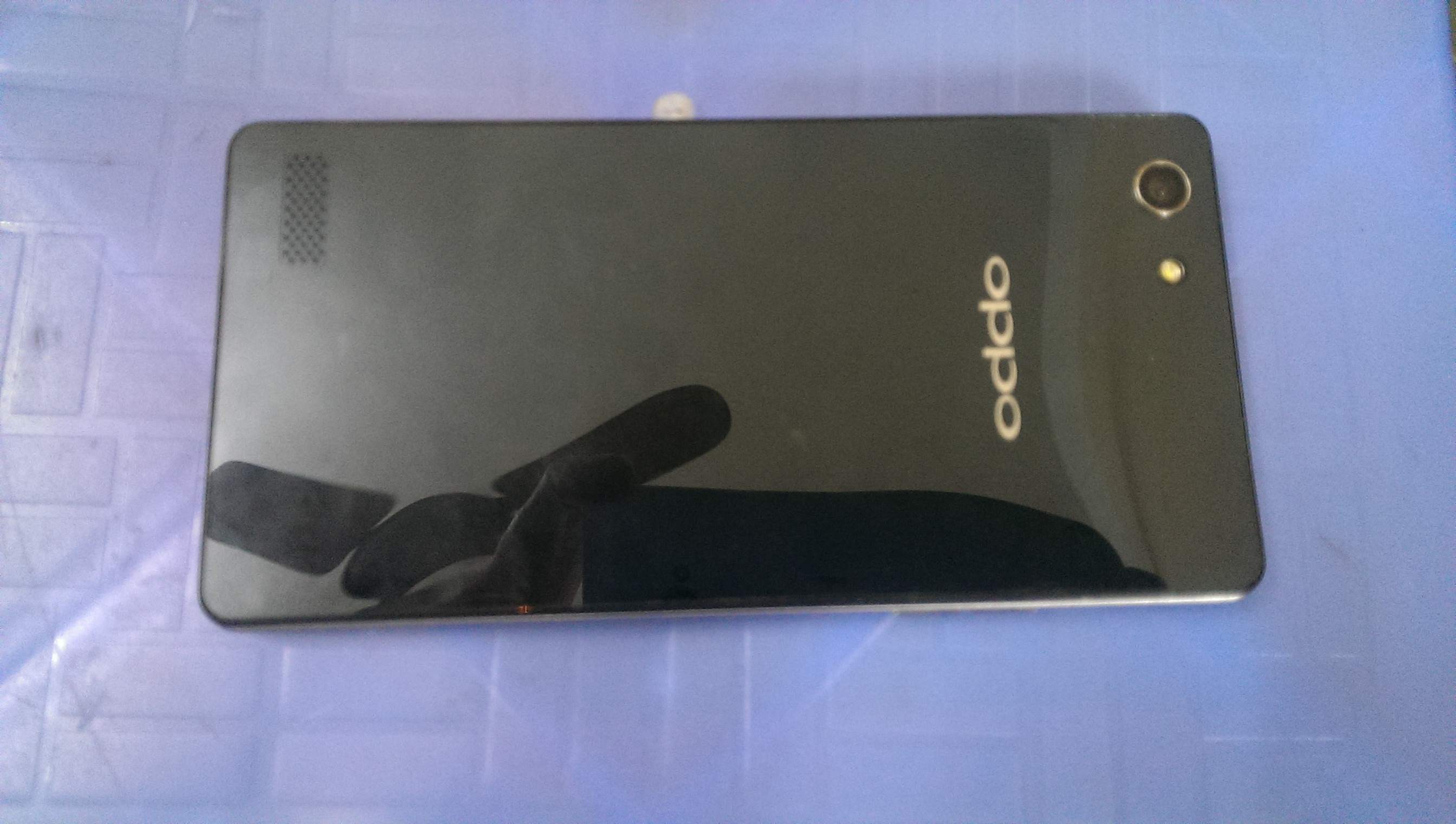 IMAG3025.jpg