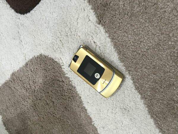 image.jpeg