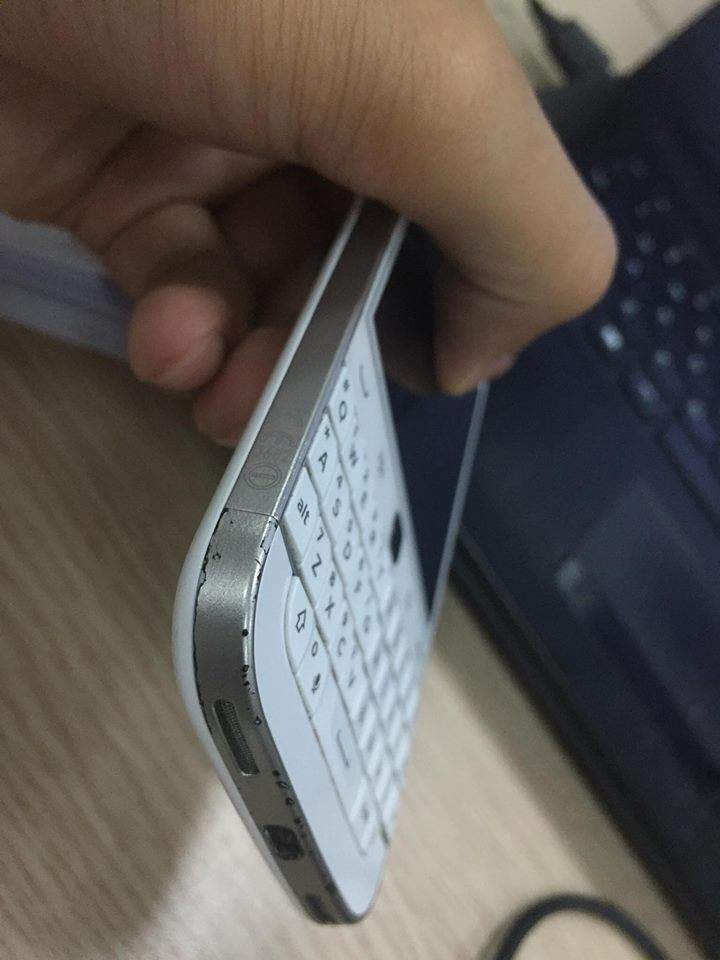 13988683_1155564474525636_573023310_n.jpg