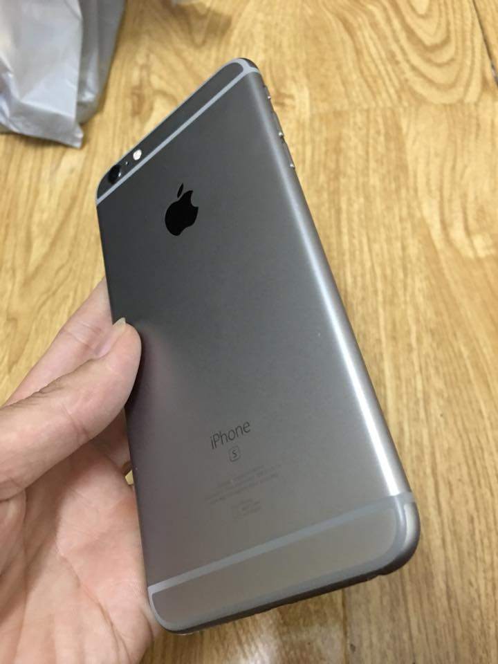 13902654_1491000820925800_3767723219968654702_n.jpg
