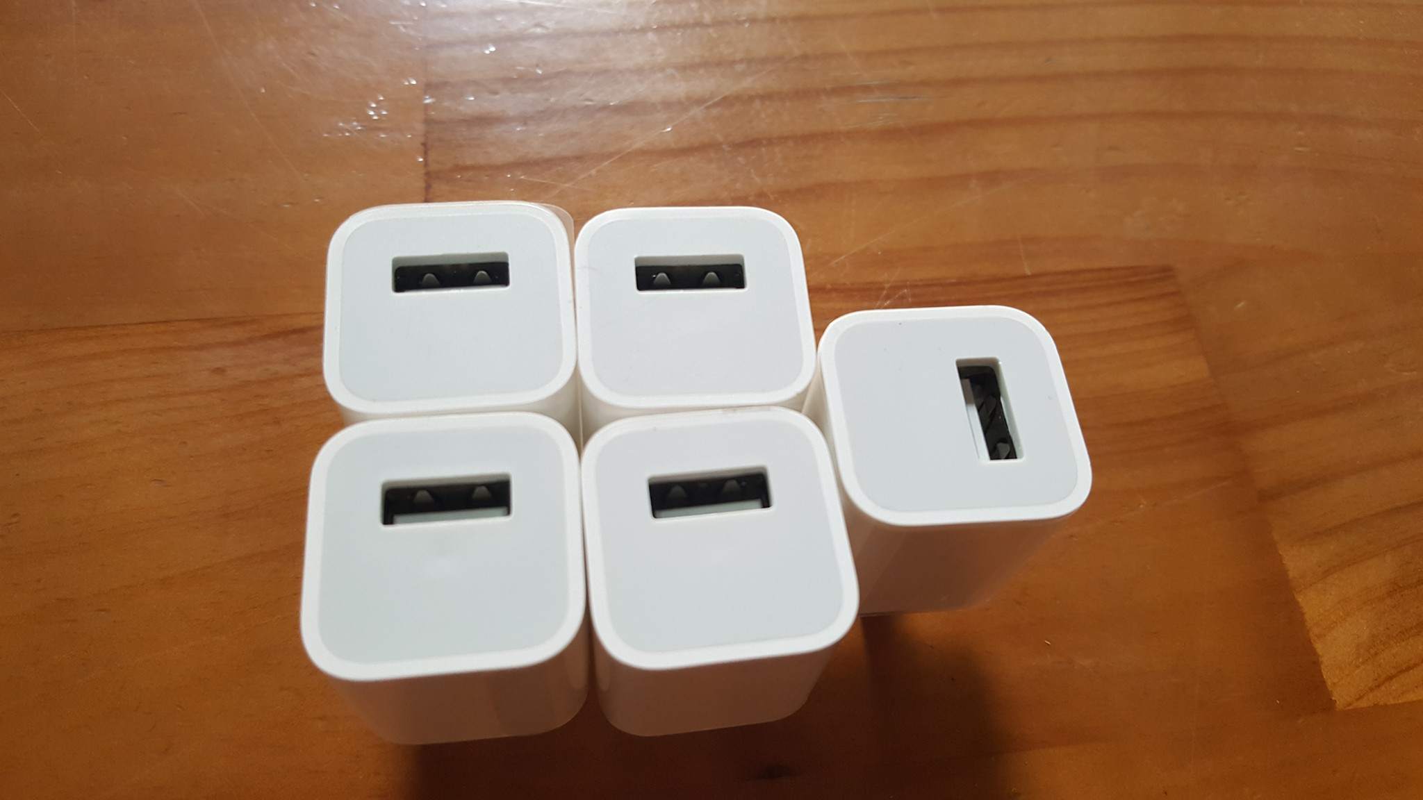 13925465_1066042646783876_2377179300149403319_o.jpg