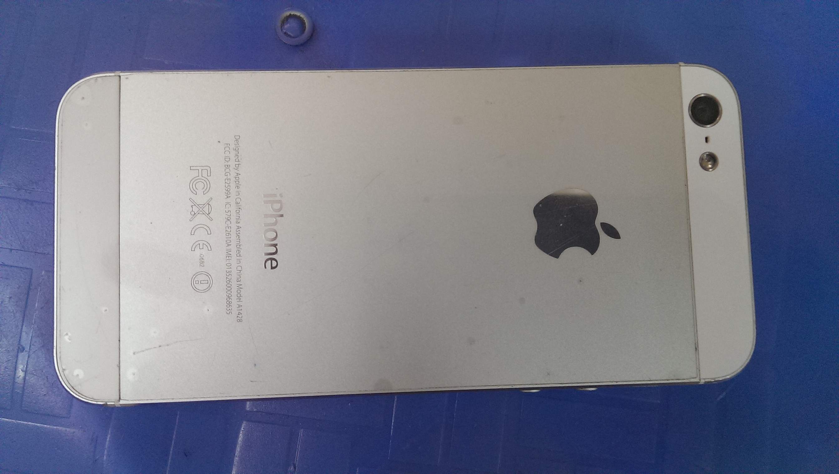 IMAG3094.jpg