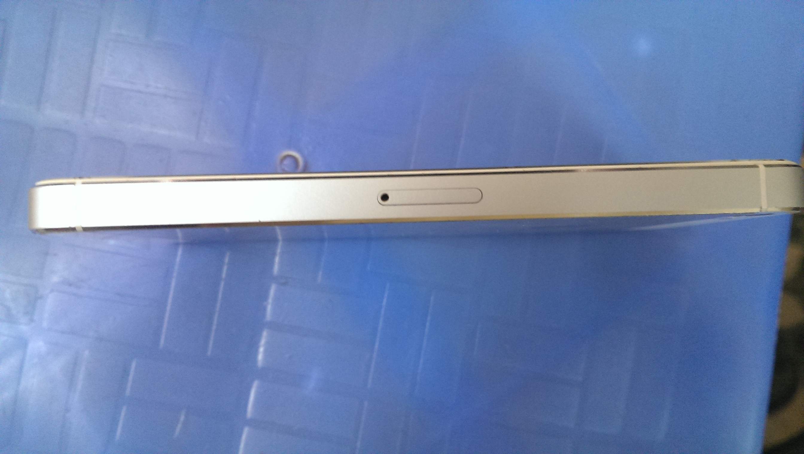 IMAG3095.jpg