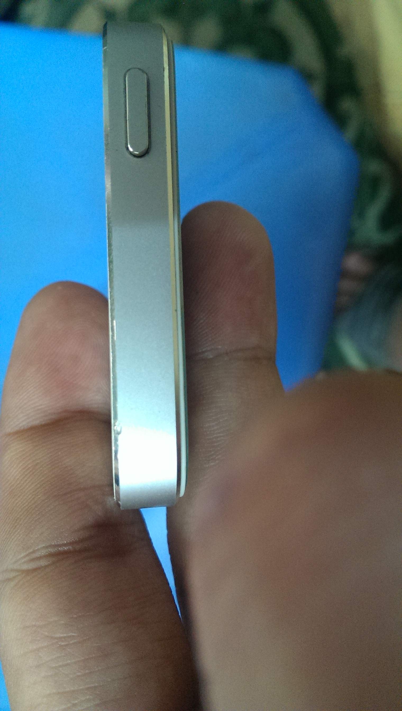 IMAG3097.jpg
