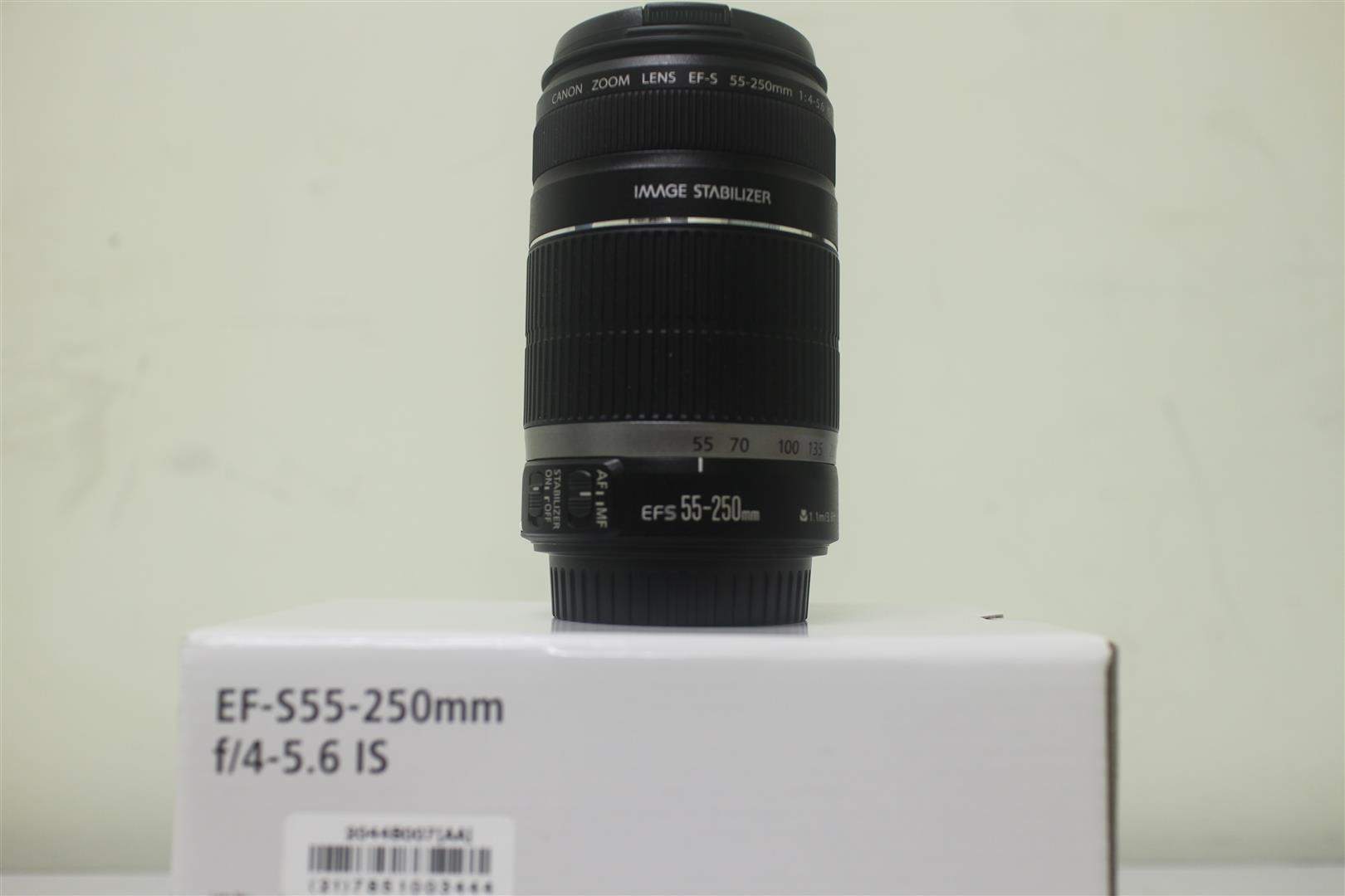 IMG_2036 (Large).JPG