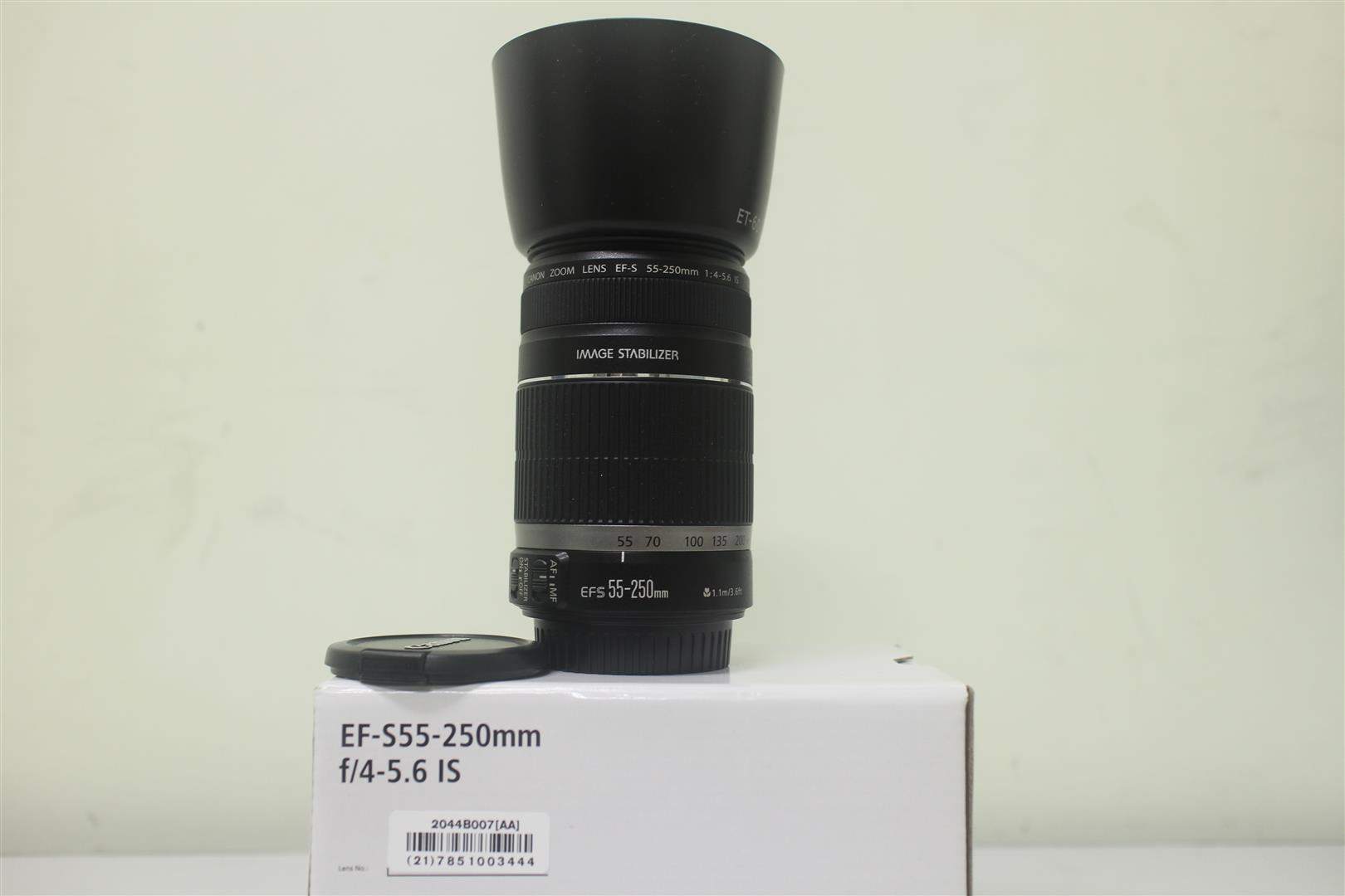 IMG_2038 (Large).JPG