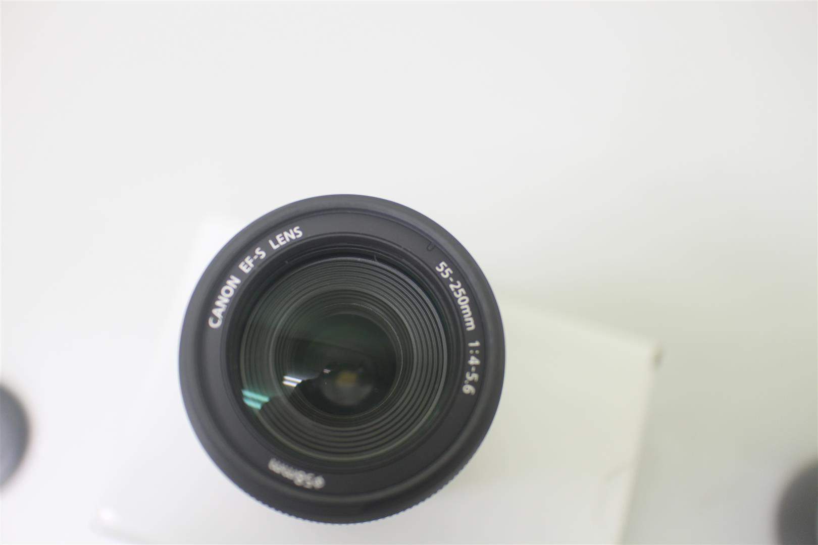 IMG_2039 (Large).JPG