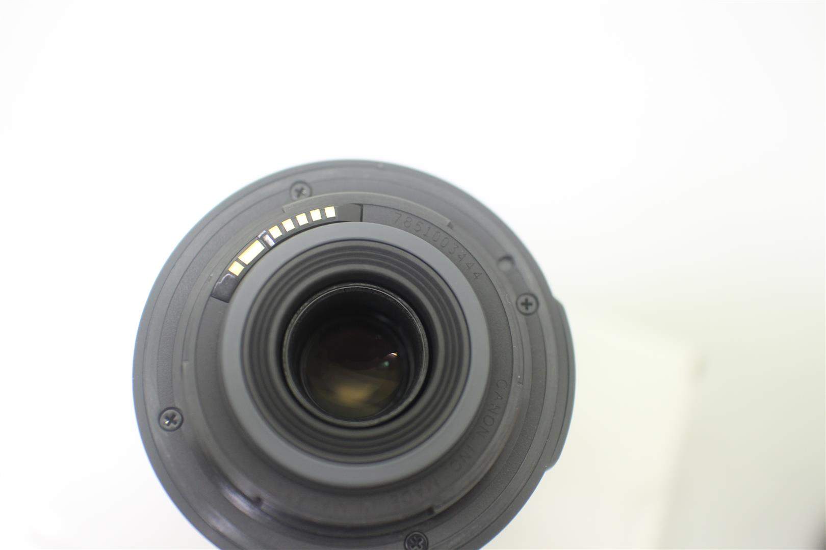 IMG_2040 (Large).JPG