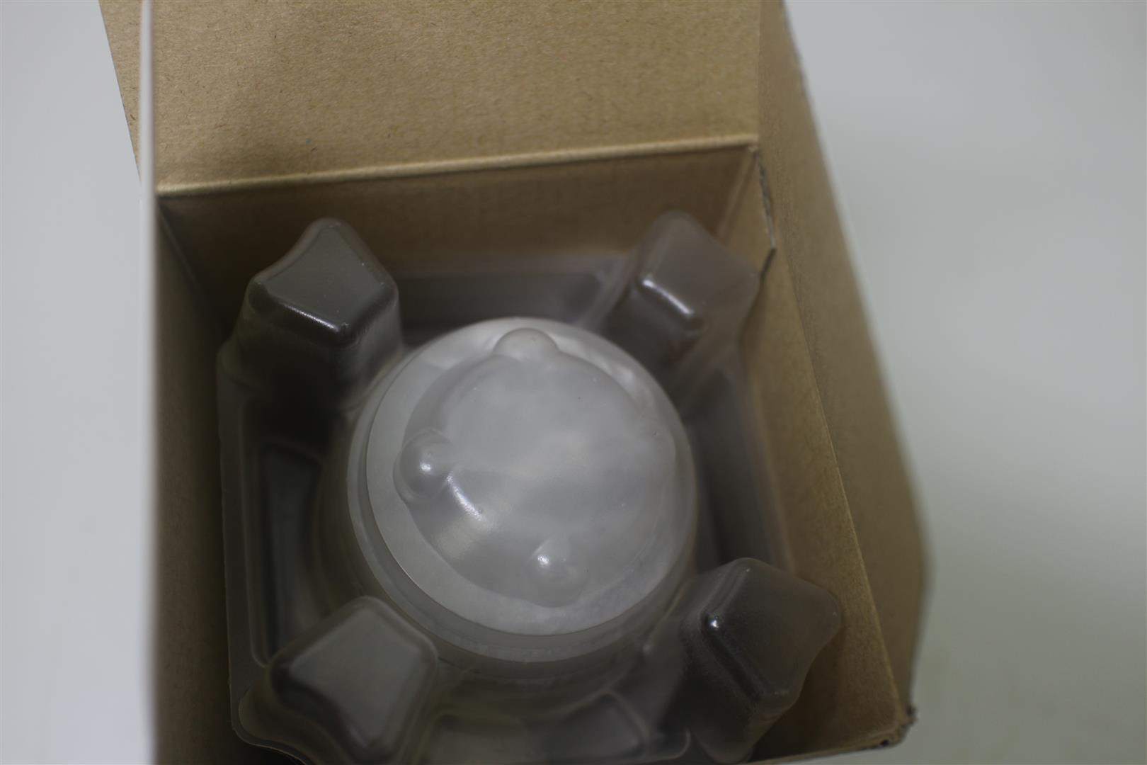 IMG_2041 (Large).JPG