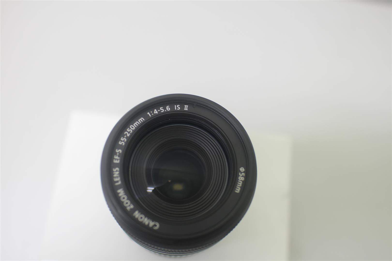 IMG_2043 (Large).JPG