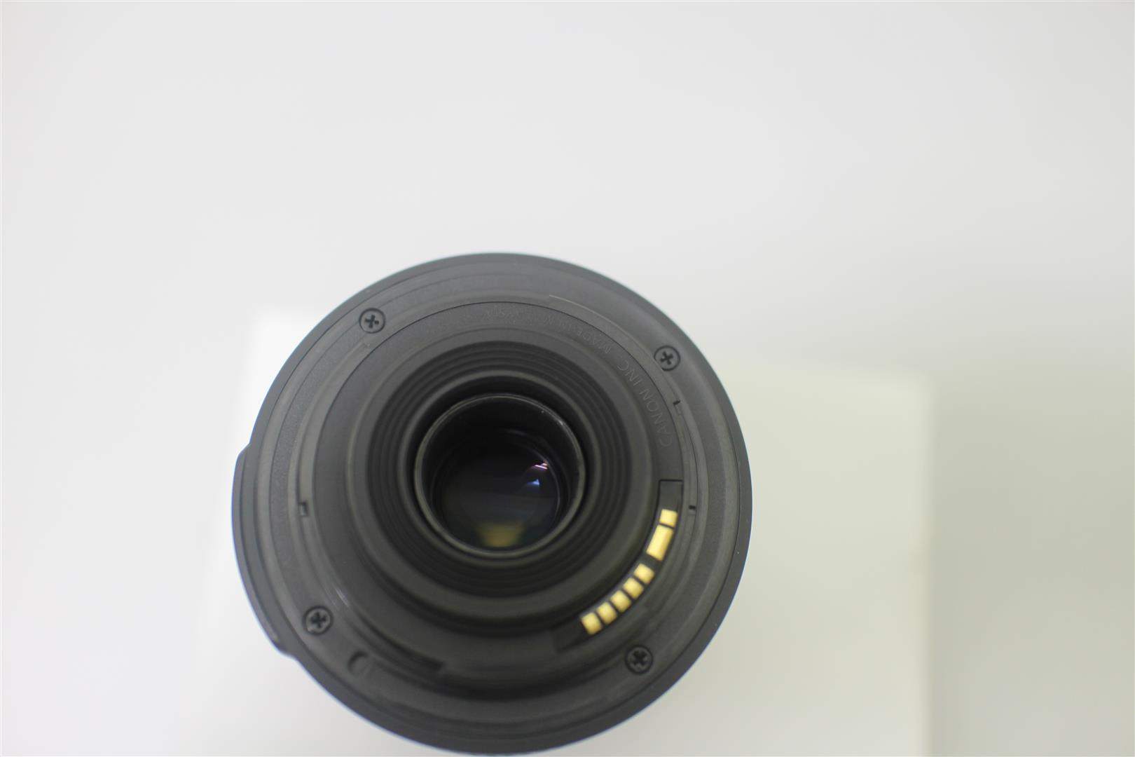 IMG_2044 (Large).JPG