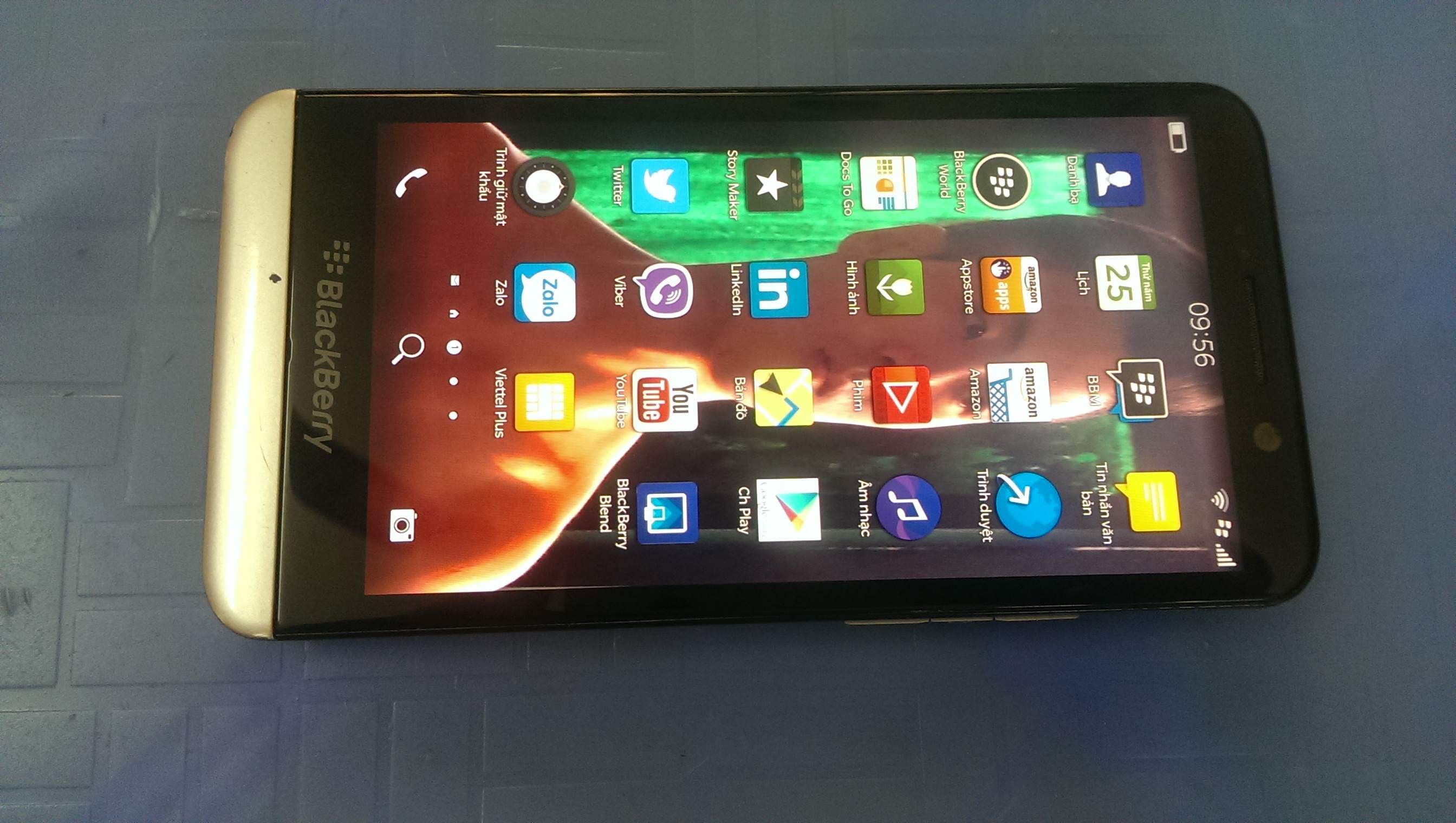 IMAG3113.jpg