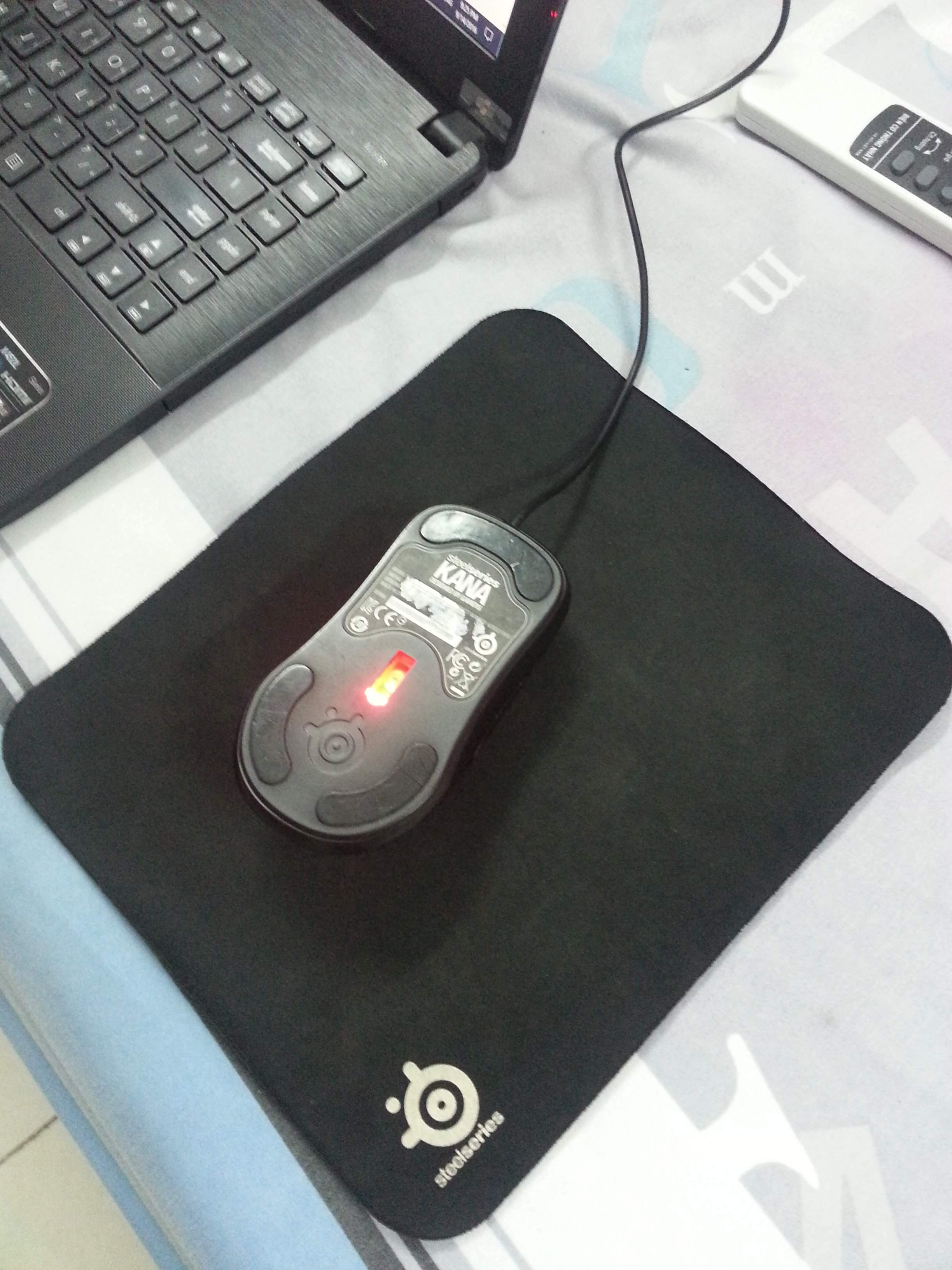 mouse1.jpg