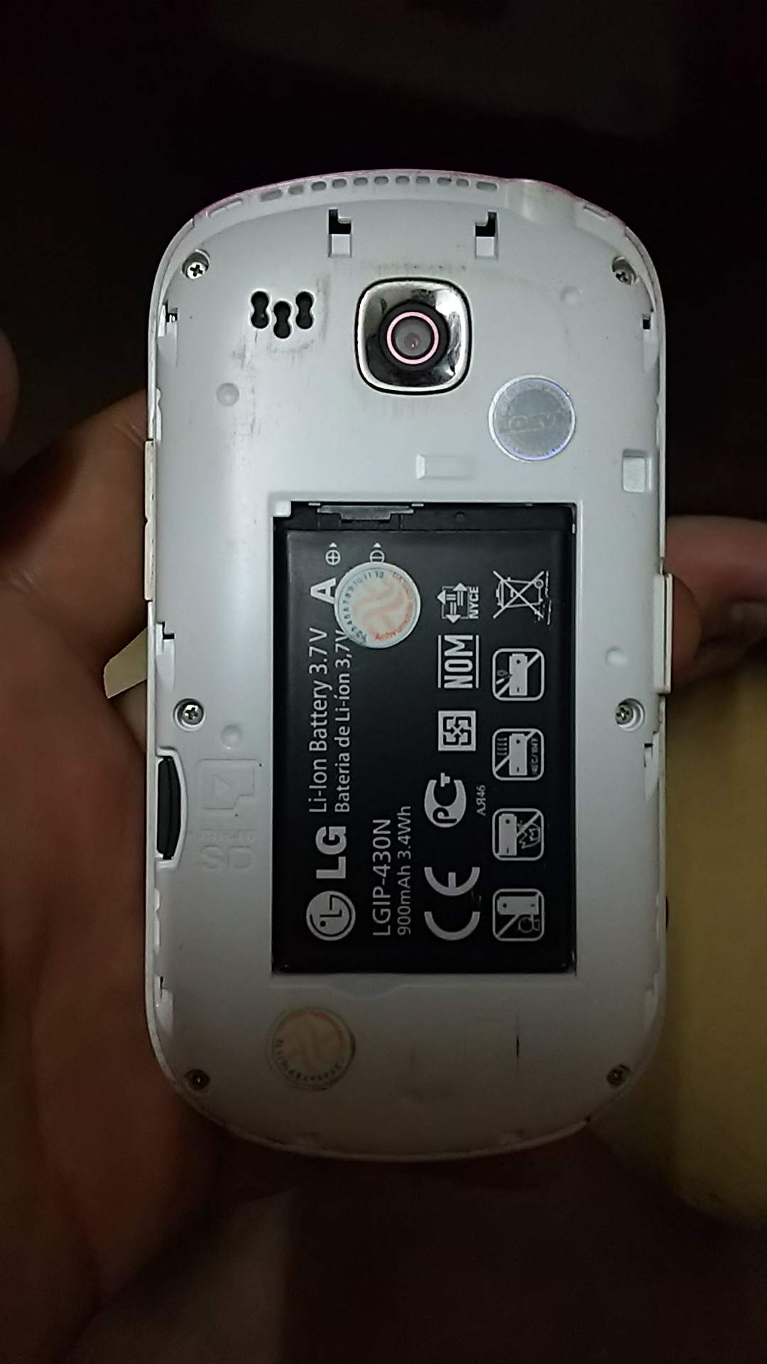 14393448_158214897961745_1005345757_o.jpg