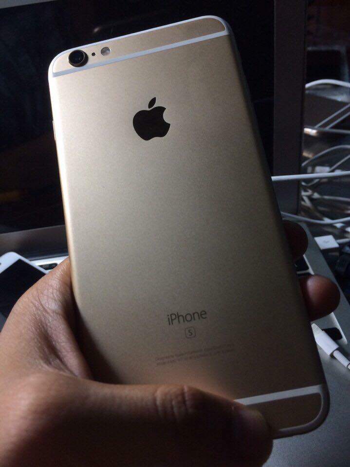 14264176_1385903144753474_6771423388675329109_n.jpg