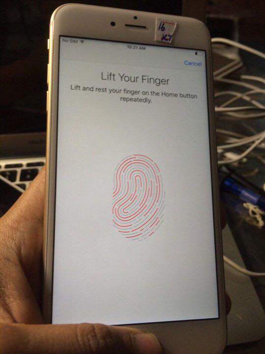 14463233_1385903128086809_2360632197946272642_n.jpg
