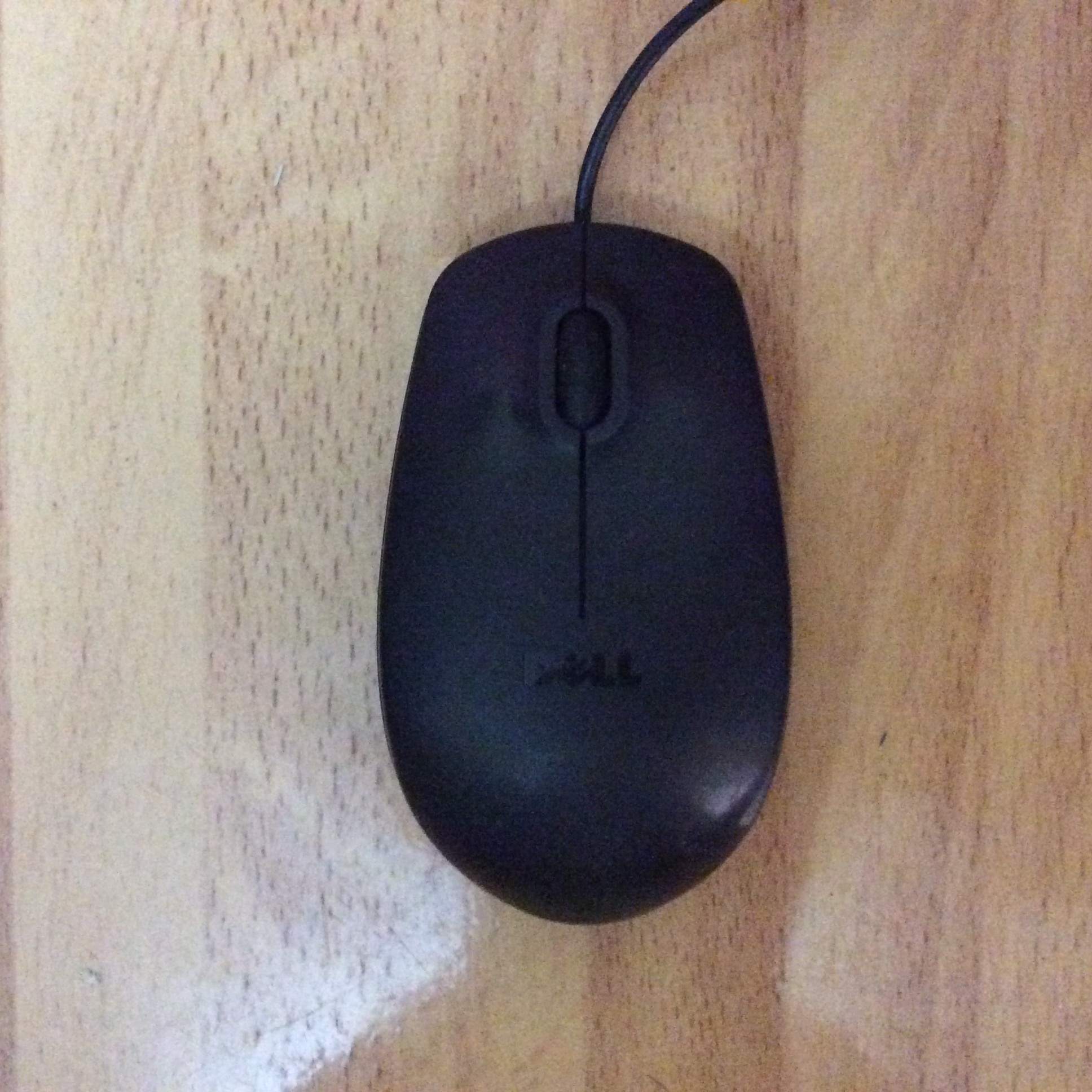 20.JPG
