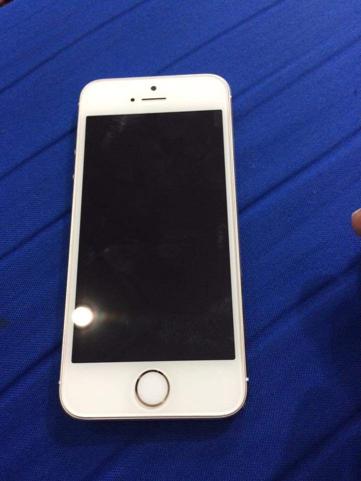14441036_1390699954273793_6385231007471768247_n (1).jpg