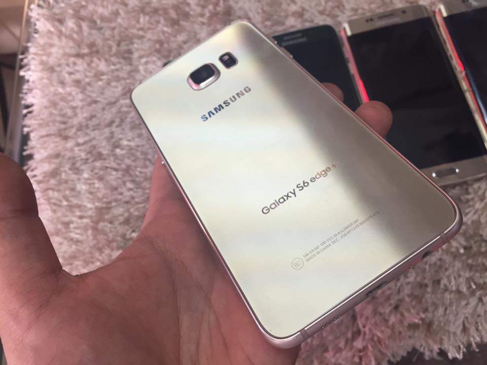 14494714_1797163233858662_1027338248741517586_n (1).jpg