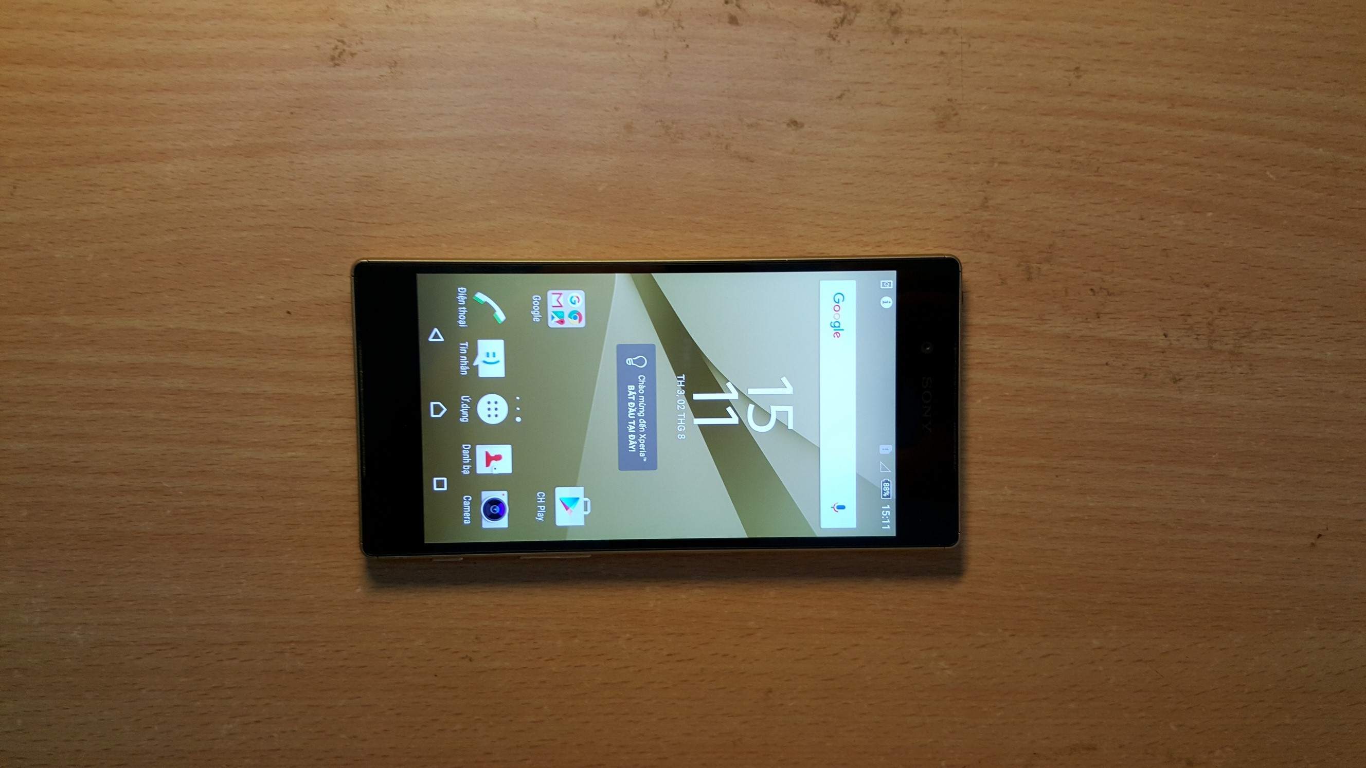 Z2 (Copy).jpg